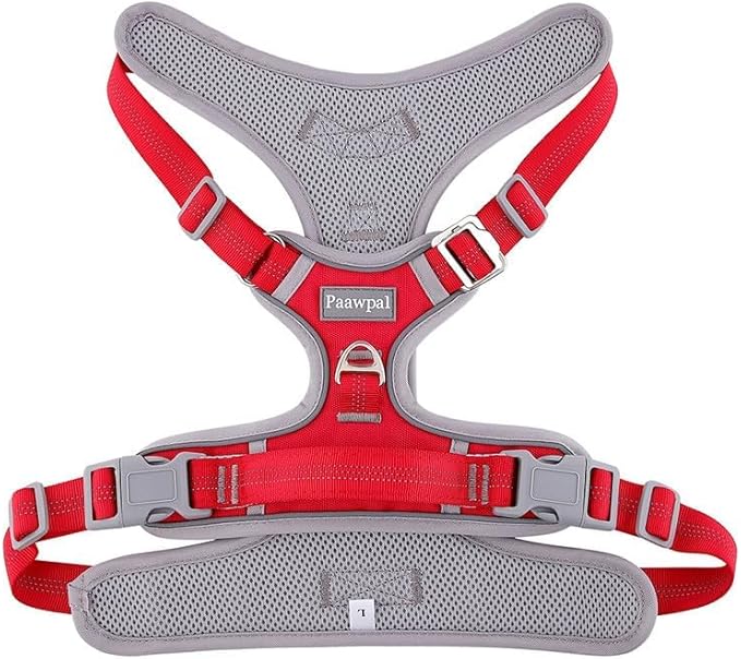 Adjustable Dog Harness - No Pull, Reflective, Soft Padded for Small, Medium, Large Dogs - Includes Leash and Collar Red XS