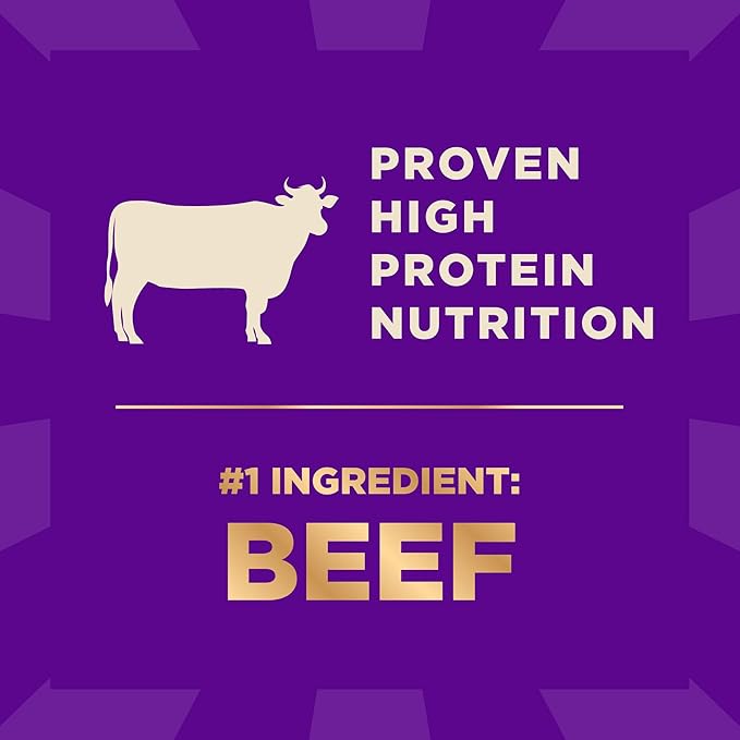 Wellness CORE+ Dry Dog Food with Freeze Dried Pieces, Wholesome Grains, High Protein, Natural, Beef & Barley Recipe, (18-Pound Bag)