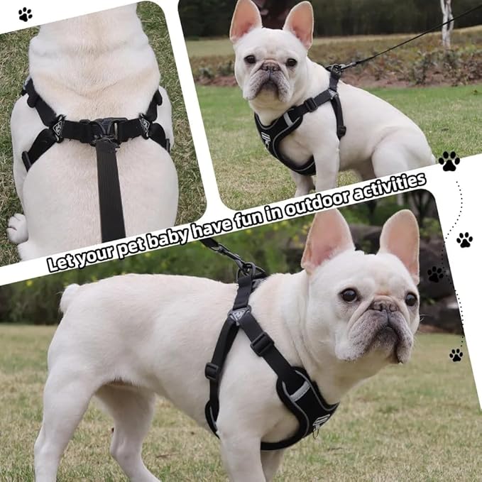 Dog Harness and Leash Set, Adjustable Triangle, Reflective Adjustable Puppy Vest, No Pull Soft Mesh Harness for Small, Medium Dogs, Cats (Black, S)