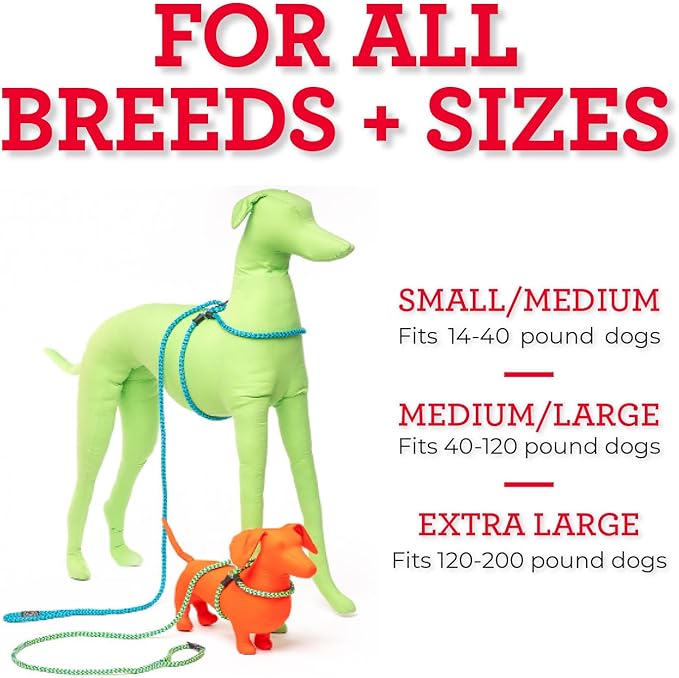 Harness Lead No Pull Dog Harness and Leash Set, Anti Pull Dog Harness for All Breeds and Sizes, One-Piece Cushioned Rope Design Safely Prevents Escaping and Pulling (Small/Medium, Orange/Reflective)