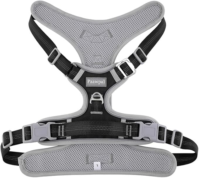 Adjustable Dog Harness - No Pull, Reflective, Soft Padded for Small, Medium, Large Dogs - Includes Leash Black M