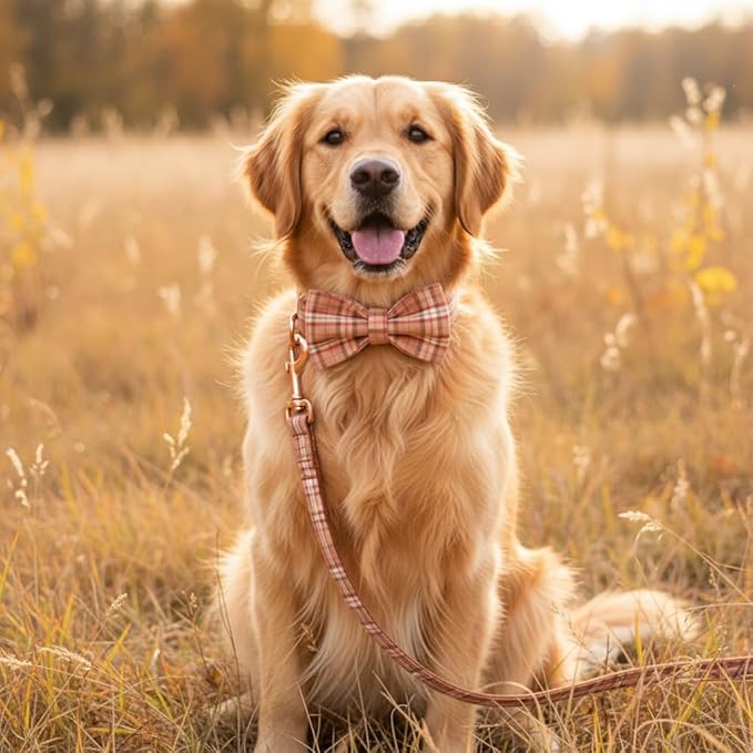 PETDURO Personalized Plaid Dog Collar Orange - Engraved Name and Phone Number on Rose Gold Metal Buckle - Custom for Small Medium Large Boy Girl Dogs - Add Leash Bow Tie via Customize Now