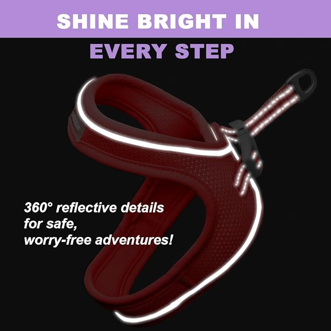 Cat Harness and Leash Set,Escape Proof Kitten Harness,Step in Adjustable Soft Lightweight,Easy Control,Reflective Strips Comfortable for Walking Travel(Red,M)