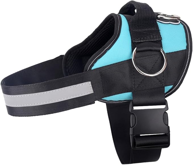 Joyride Basic Essential Dog Harness 1.0 - Small, Medium, Large Dogs, No-Pull Pet Vest with 3 Side Rings for Leash Placement, Adjustable for Training (Teal Ocean, 2XL)