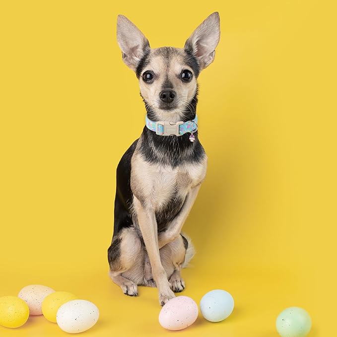 DOGWONG Easter Blue Egg Bunny Dog Collars, Adjustable Cute Rabbit Pet Collars with Quick Release Buckle for Small Medium Dogs