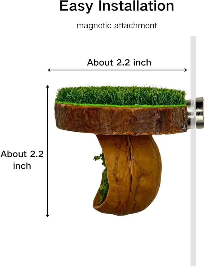 Jumping Spider Hide with Platform, 2 Pack Natural Materials Magnetic Perch for Jumping Spider Enclosure, Side-Mount Ledge for Small Spiders Terrarium