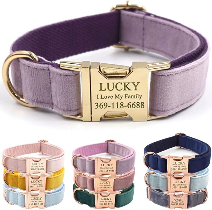PETDURO Personalized Dog Collar Lavender Soft Velvet for Large Medium Small Boy Girl Dogs - Custom Collar with Name Phone Number Engraved on Gold Metal Buckle - Add Leash Bow Set via Customize Now