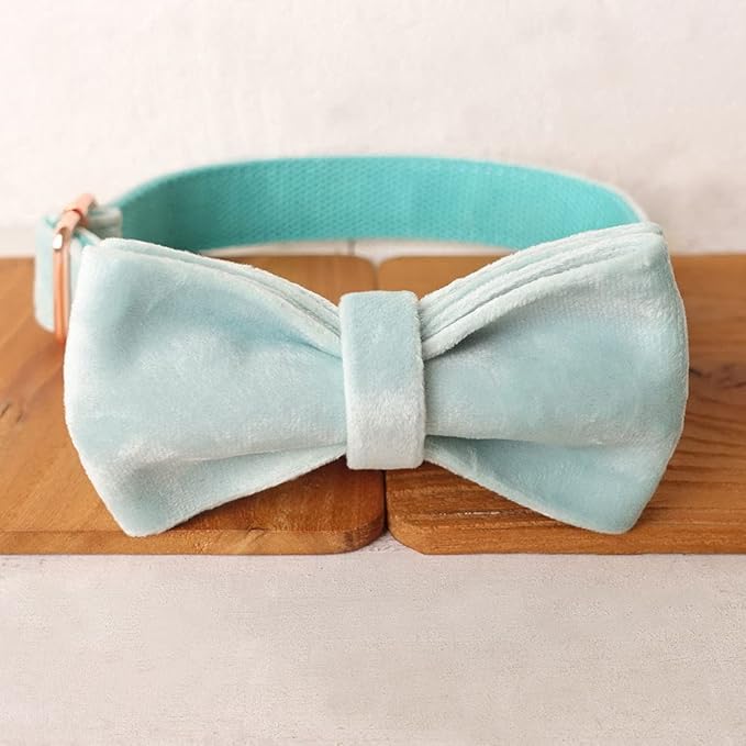 PETDURO Custom Dog Collar Personalized with Name Engraved Quick Release Rose Gold Metal Buckle for Large Medium Small Girl Dogs - Dog Leash and Bow Tie Available - Soft Comfy Velvet (Mint Blue, M)