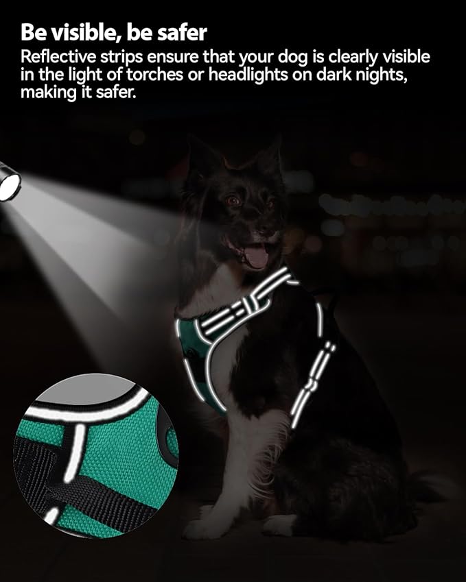 Joytale No Pull Dog Harness for Large Dogs, Reflective Pet Vest with Front Clip, Adjustable Soft Padded Harnesses with Easy Control Handle for Training and Walking, Teal, L