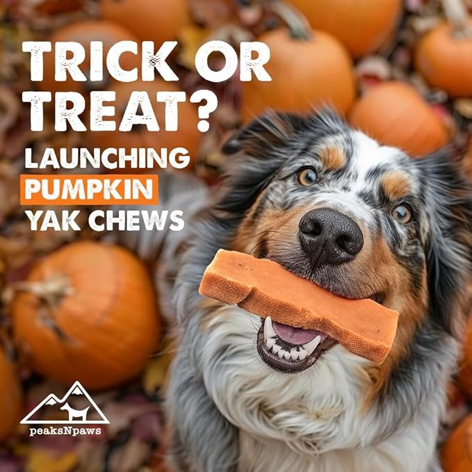 peaksNpaws Yak Cheese Himalayan Dog Chews with Pumpkin, High Protein, Natural Dog Treats, Dog Chew Sticks for Aggressive Chewers, Long Lasting Treat for Small, Medium & Large Dogs, 3 Chews
