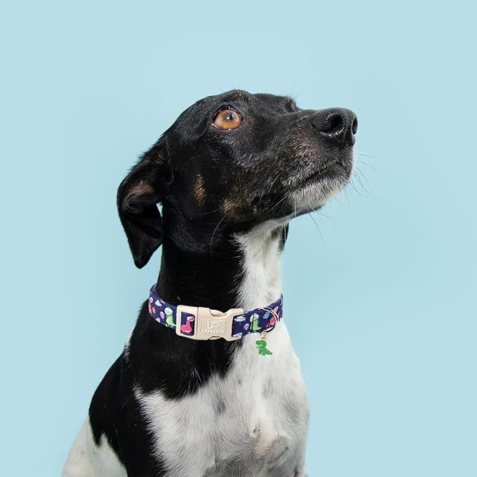 Summer Dog Collar-Dinosaur Dog Collars with Planet-Cute Blue Summer Pet Dollar-Soft, Adjustable & Stylish for Small/Medium Dogs