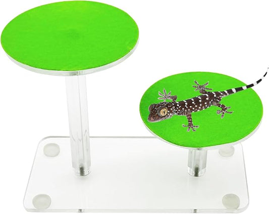 Hamiledyi Acrylic Reptile Double Layer Climbing Platform Circular Plastic Lizard Basking Platform Multi-Level Habitat Decorations Baby Bearded Dragon Juvenile Geckos Lizards Dwarf Frogs(A)