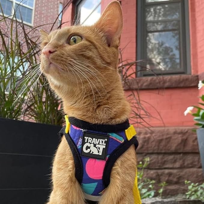 Travel Cat Harness and Leash Set - Adjustable Fit Mesh Harness and Reflective Strap - Comfort Walking Vest for Kitten for Outdoor Walking, Hiking (Large, 90s Cat)