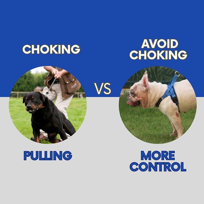 No Pull Dog Harness with Handle, Rear & Front Clip, Adjustable, Easy On/Off, Reflective, Lightweight & Mesh Padded, No Choke. for Giant/Big Large Dogs (Blue-Black,Extra Large)