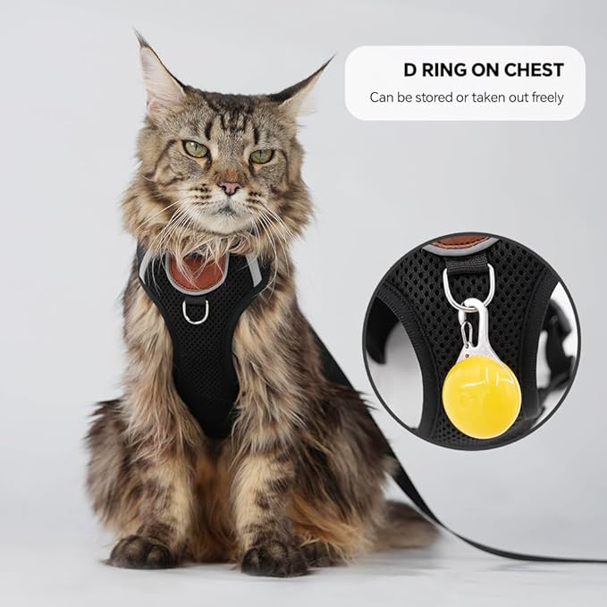Cat Harness Leash Set with AirTag Holder, Upgraded Escape Proof Vest with Lead for Small Cat Kitten Puppy Small Dog Outdoor Walking, Soft Breathable Mesh Jacket with Reflective Strip (Black, S)