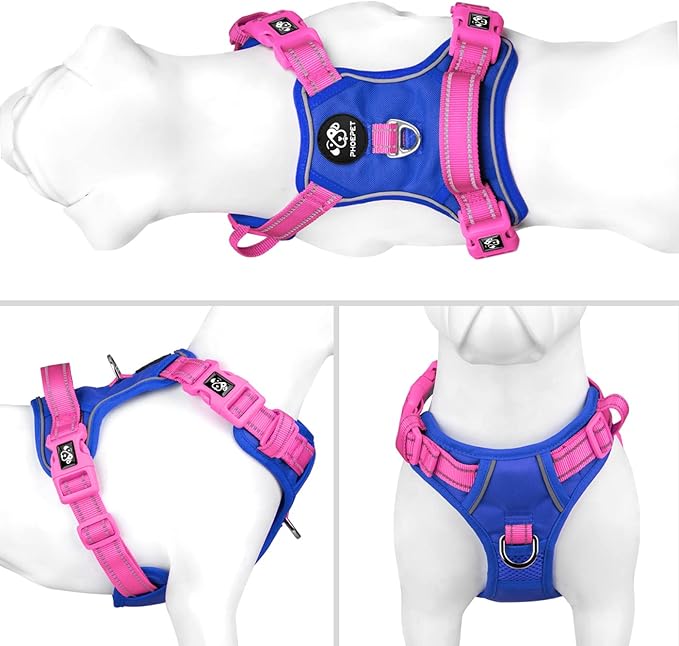 PHOEPET No Pull Dog Harness, Unique Colors Reflective Adjustable Dog Vest, with Soft Training Handle Metal Clips for Small Medium Large Dogs (Royal Blue Base & Pink Straps,S)