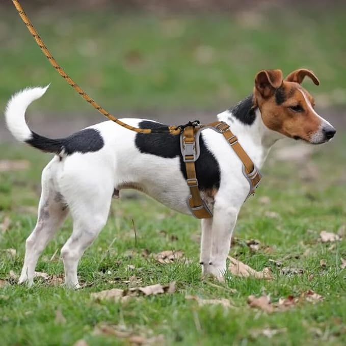 Adjustable Dog Harness - No Pull, Reflective, Soft Padded for Small, Medium, Large Dogs - Includes Leash Beige L
