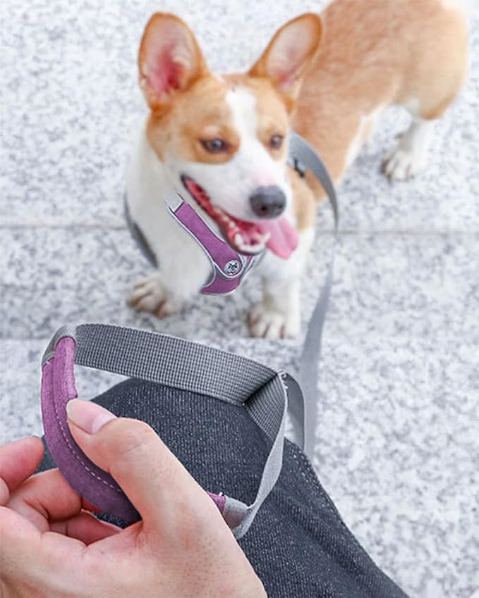 Large Dog Harness and Leash Set,No Pull Adjustable Step in Soft Mesh Vest Harness,Easy Walk Reflective Pet Harness with Padded Handle for Walking Training Small Medium Large Dogs and Cats (Purple, L)