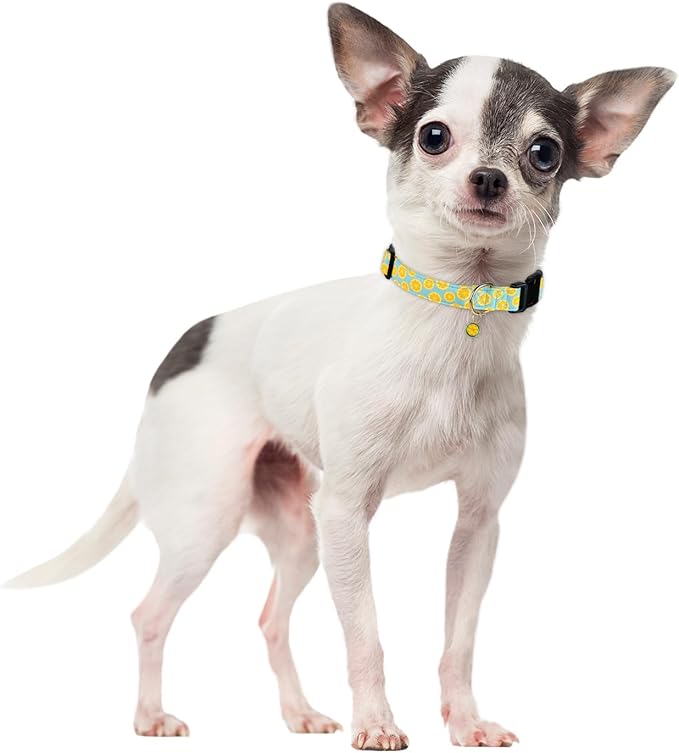 Cute Cotton Dog Collar for Boy and Girl Puppy Collar - Summer Lemon Pattern - Adjustable Soft Collar for Small, Medium, Large Dogs