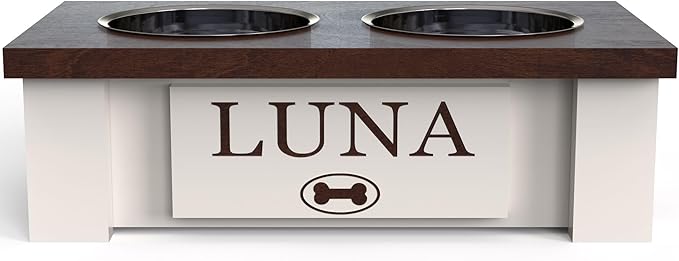 GTW Personalized Elevated Dog Bowl Stand for Large, Medium, Small, X-Small Dogs - Stainless Steel Food and Water Bowls - Raised Dog Dish with Internal Storage (X-Small, Dark Walnut)