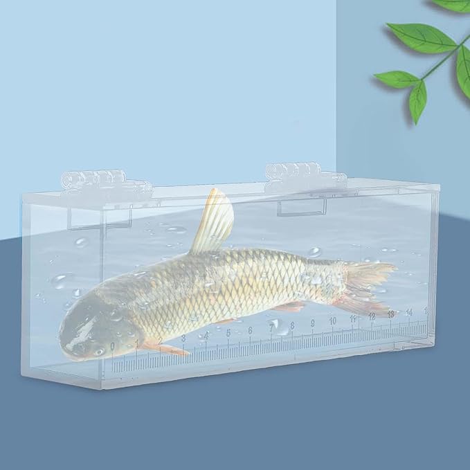 Gazechimp Fishing Photo Tank Fish Viewing Box Acrylic Hatching Incubator Clear Micro Landscape Fish Tank Fish Breeder Isolation Breeder Box with Scale, L