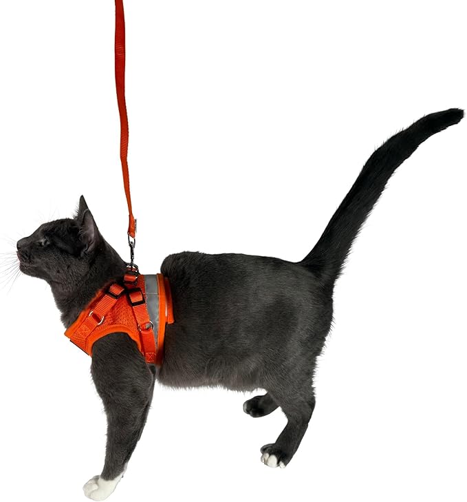 Travel Cat Harness and Leash Set - Adjustable Fit Mesh Cat Harness and Reflective Strap - Comfort Walking Vest for Kitten for Outdoor Walking, Hiking (Small, Orange)