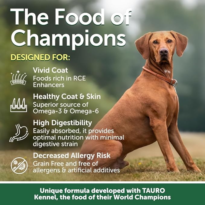 Nature's Protection Dry Dog Food for Small Breed - High Protein, Grain Free, Tear Stain Formula - Dog Kibble for Puppy & Adult Dogs with Red Fur (Superior Care - Salmon, 22 lb)