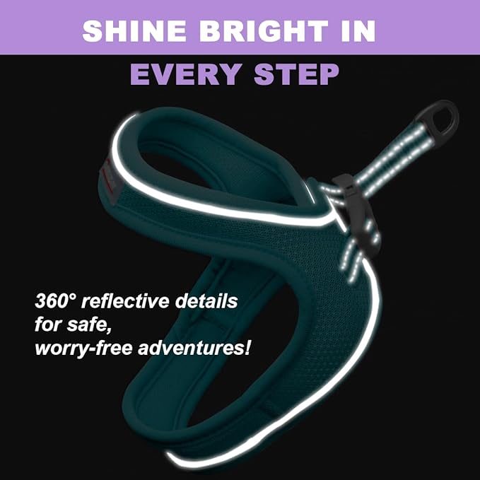 Cat Harness and Leash Set,Escape Proof Kitten Harness,Step in Adjustable Soft Lightweight,Easy Control,Reflective Strips Comfortable for Walking Travel(Ocean Blue,XS)