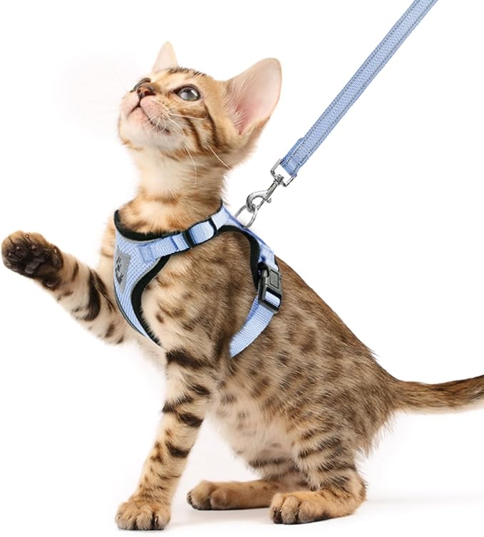 PUPTECK Cat Harness and Leash Set Escape Proof Reflective Cat Walking Harness Adjustable Soft Breathable Mesh Vest for Small Pets, Sky Blue, XS
