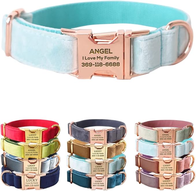 PETDURO Custom Dog Collar Personalized with Name Engraved Quick Release Rose Gold Metal Buckle for Large Medium Small Girl Dogs - Dog Leash and Bow Tie Available - Soft Comfy Velvet (Mint Blue, M)