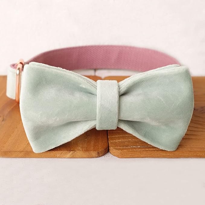 PETDURO Custom Dog Collar Personalized with Name Engraved Quick Release Rose Gold Metal Buckle for Large Medium Small Girl Dogs - Dog Leash and Bow Tie Available - Soft Comfy Velvet (Mint Pink, S)
