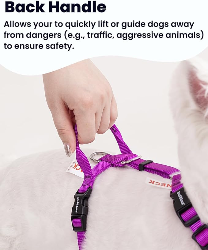 Non-Restrictive Dog Harness, Easy Walk Freedom No Pull Harness, Keep Balance, Neck-Buckle, Six Points Adjustment, 2 Leash Clips for Back and Front Clip (Purple/Black, Small)