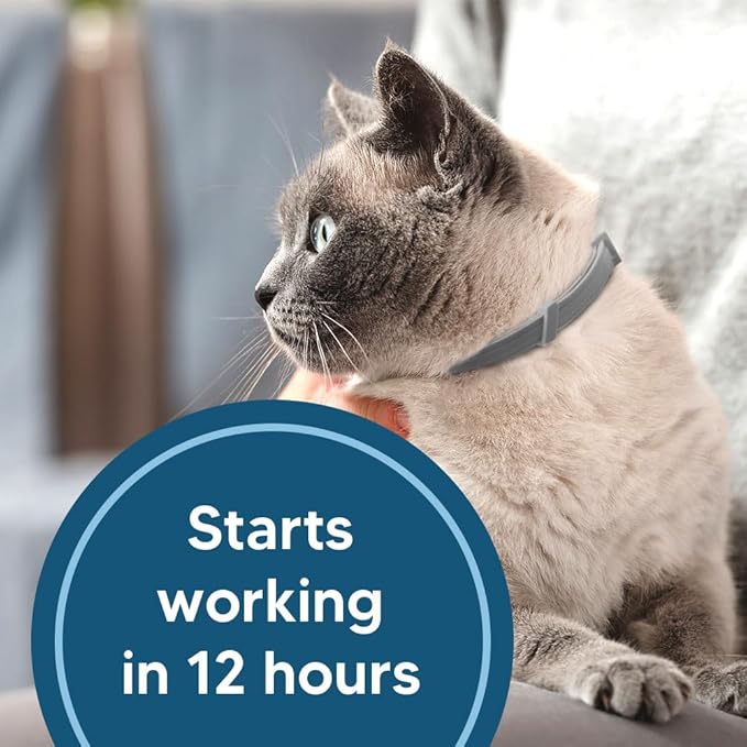 Flea Collar for Cats, Cat Flea and Tick Collar, Cat Flea Collars, Kitten Tick Collars, Adjustable 8 Months Protection (Pack of 2)
