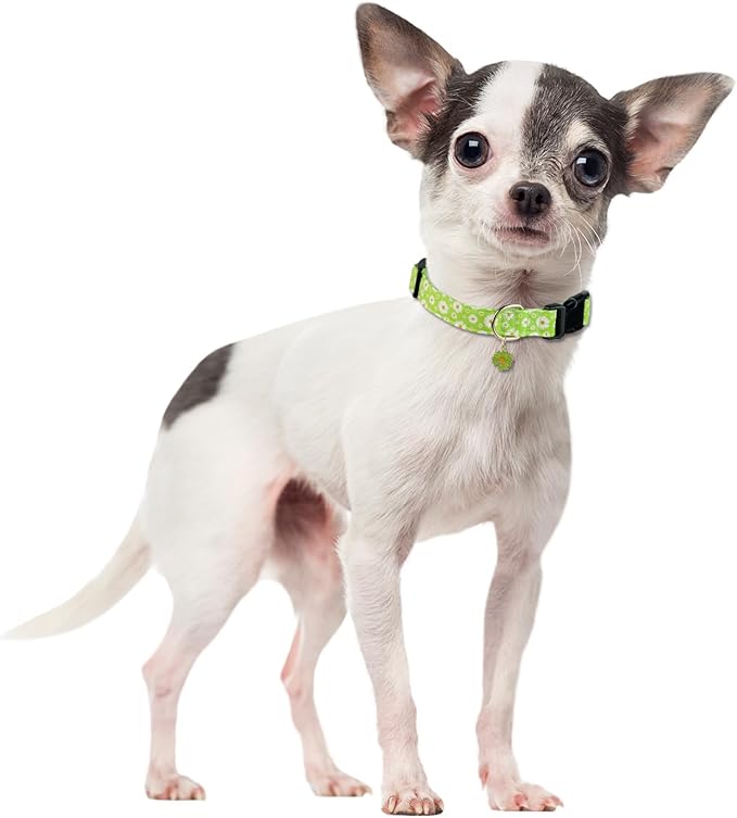Cute Cotton Dog Collar - Fresh Flower Pattern for Small, Medium & Large Dogs - Adjustable Soft Collar for Male & Female Dogs
