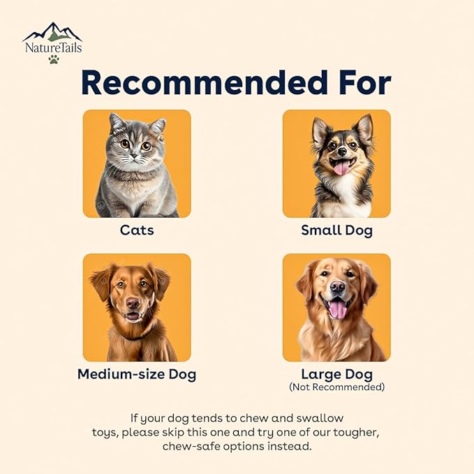 NatureTailsPaw Soft Dog & Cat Toy – Cute Squeaky Interactive Chew Toy for Puppies & Kittens, Durable Plush Teething Toy for Small, Medium & Large Breeds (Bear)