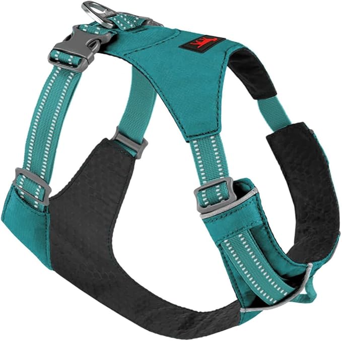 Tuff Pupper All-Day Wear Dog Harness | for Walking, Trail Running, Hiking | Front & Back Leash Clips | Reflective Trim | Easy On/Off Buckles | Lightweight Breathable | No Pull Design (XXS, Teal)