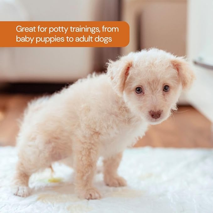 UltraCare Superabsorbent Leak Proof Odor Free Pet Friendly Puppy Pads, Best Potty-Training Disposable Pads, Gentle on Paws Pads XL 75 Extra Large 26x30 75 Count