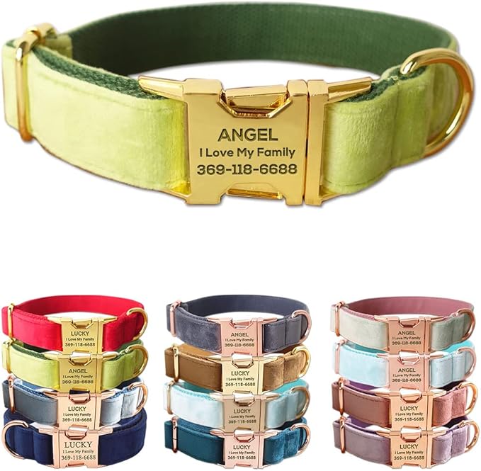 PETDURO Custom Dog Collar Personalized with Name Engraved Quick Release Rose Gold Metal Buckle for Large Medium Small Girl Dogs - Dog Leash and Bow Tie Available - Soft Comfy Velvet (Mint Green, M)