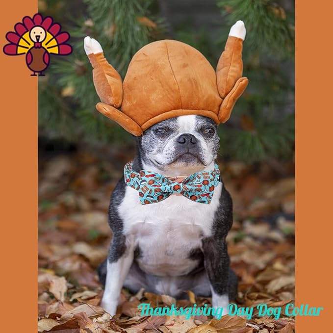 Unique Style Paws Thanksgiving Day Dog Collar with Bow Blue Turkey Cotton Puppy Collars for Small Medium Large Dogs