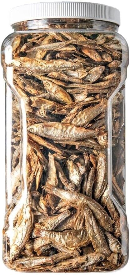 Aquatic Foods Inc. 3"- 5" Fresh Water Freeze Dried Fish for Piranha, Large Fish, Turtles, Cats, Sugar Glider, Marmosets, Chinchillas, Squirrels, Hamsters…12oz Med Jar
