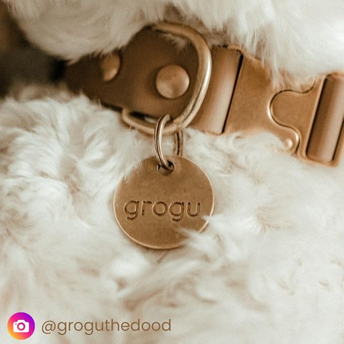 Solid Brass PET TAG - Modern, Minimal Pet IDs. Durable, Lifetime Tags with deep Cut Text. Includes Space for Two Phone Numbers. (House)