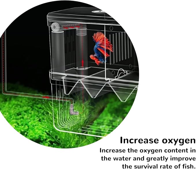 Mipukbay Aquarium Small Isolation Breeding Box, Acrylic Transparent Aquarium Breeder Box for Fish Fry Hatching, Shrimp Breeding, Betta, Guppy, Killifish, Clownfish, Suitable for Small Fish Tanks