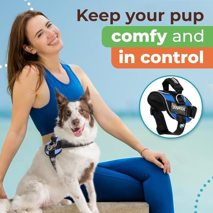 Joyride Harness 2.0 - The Original Side Ring No Pull Dog Harness - No Choke, Escape Proof, Reflective, 3 Leash Clips, Quick Fit Pet Vest - Easy Walks & Training - for Small, Medium & Large Dogs