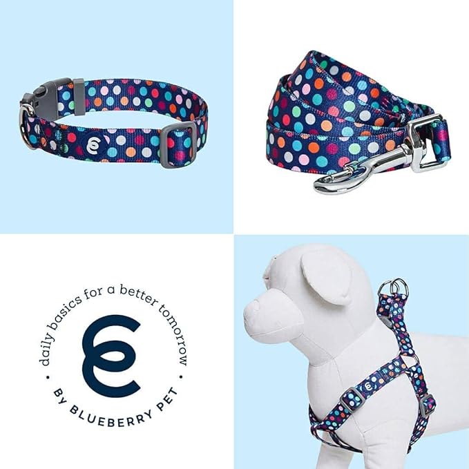 Blueberry Pet Valentine's Day Dog Leash, Velvety Soft-Touch Heart Flocking Lead for Medium Dogs, Rainbow Polka Dots, 5 ft x 3/4"