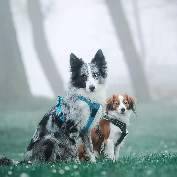 TRUE LOVE Adjustable No-Pull Dog Harness Reflective Pup Vest Harnesses Comfortable Control Brilliant Colors TLH5651(Blue,XL)