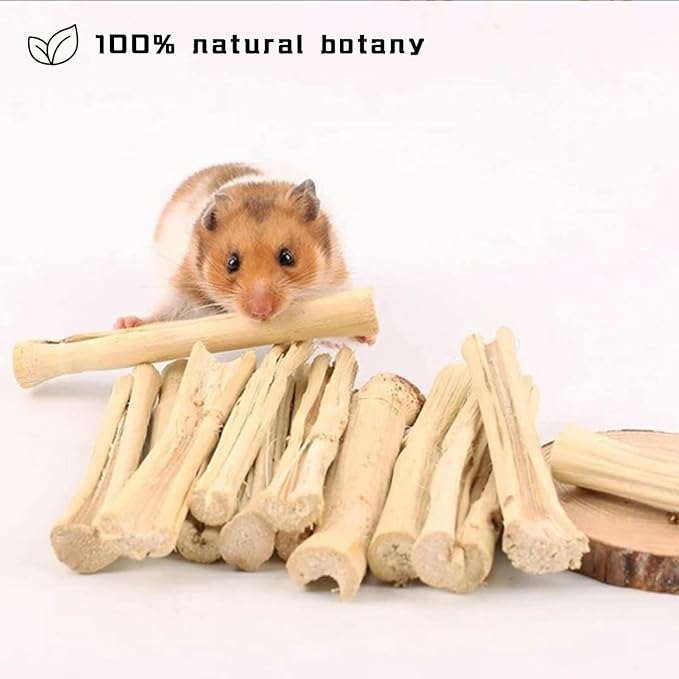 2lb Natural Sweet Bamboo Chew Toys for Pets - Molar Chew Sticks & Treats for Animals