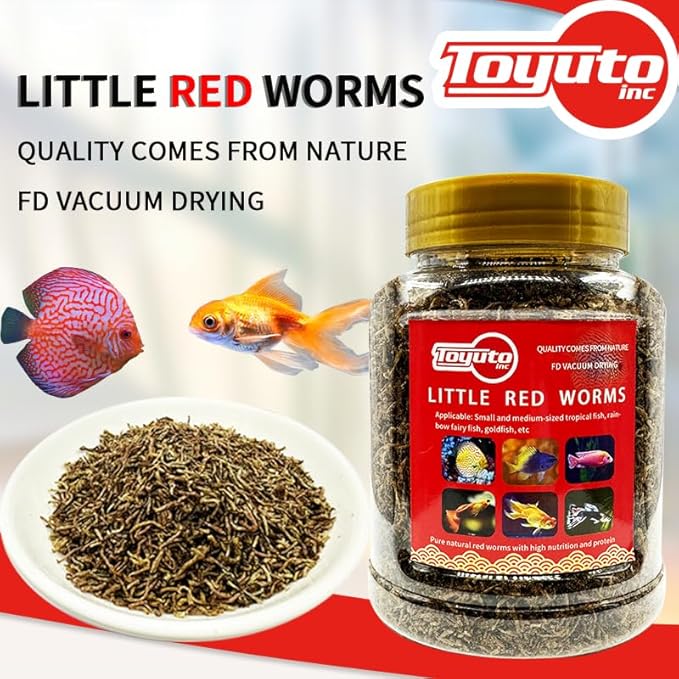 Premium Freeze-Dried Krill & Shrimp Mix - Ideal for Arowana, Koi, Tropical Cichlids, and Turtles - High-Protein Floating Aquarium Food (Dried Bloodworms-500ml)