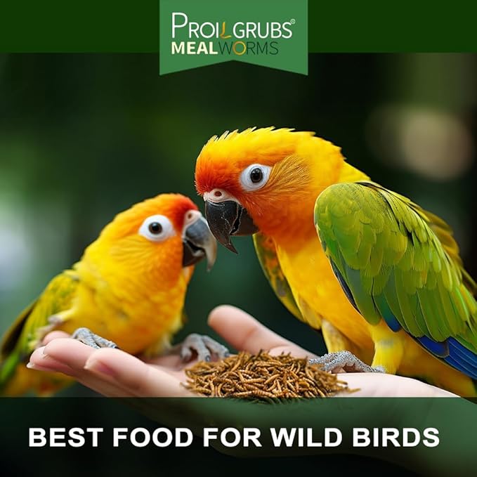 PROILGRUBS 2 LBS Dried Mealworms Super High Protein Nutritious Feed for Birds &Chickens - Organic Meal Worms for Laying Hens,Duck,Fish,Turtle,Reptil…