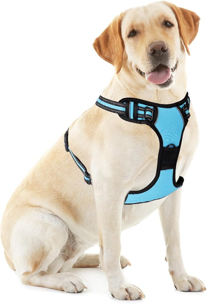 Blue No-Pull Dog Harness with 2 Leash Clips，Soft Padded Vest for Large Dog, Adjustable Reflective Dog Vest Easy to Put on and Take Off,Neck: 18"~26", Chest: 25"~34",Blue XL