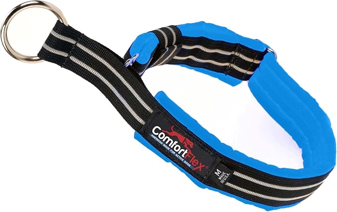 ComfortFlex Premium Padded Martingale Dog Collar – Reflective Waterproof Slip-On Limited Slip Collar for Gentle Control & Escape Prevention - Small, Blue Jay